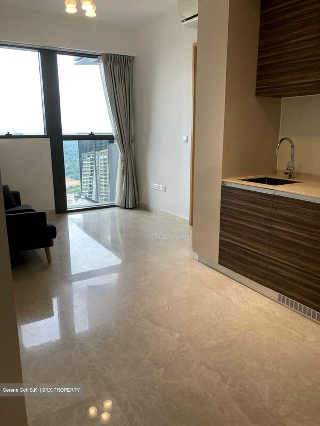 Commonwealth Towers (D3), Condominium #498880931